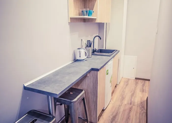 21 Basic Apartment Szczecin